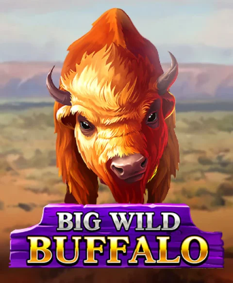 Play Big Wild Buffalo at Posh Bingo Casino